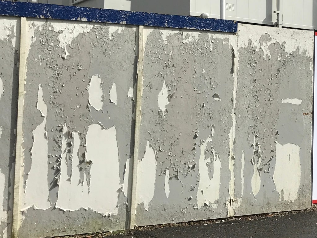 The Hidden Costs Of Timber Hoarding